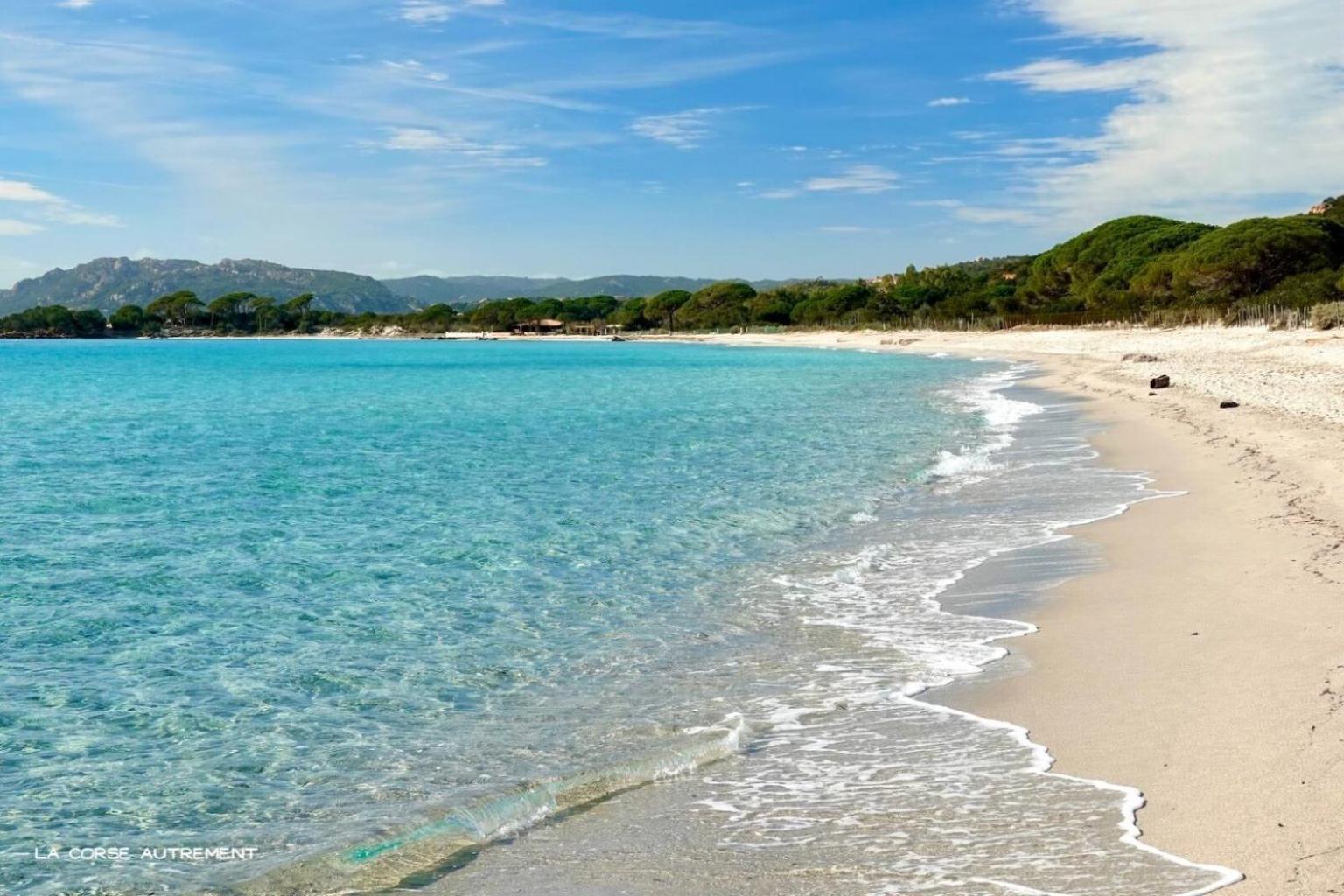 Bel Appartement Spacieux A Porto-Vecchio, 10Min A Pieds Du Centre Ville Esterno foto
